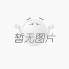 基本型纏繞墊 D型帶內外環 金屬帶內外環石墨.四氟.石棉纏繞墊